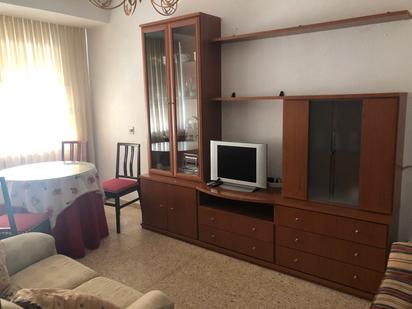 Sala d'estar de Pis de lloguer en Salamanca Capital amb Calefacció, Moblat i Forn