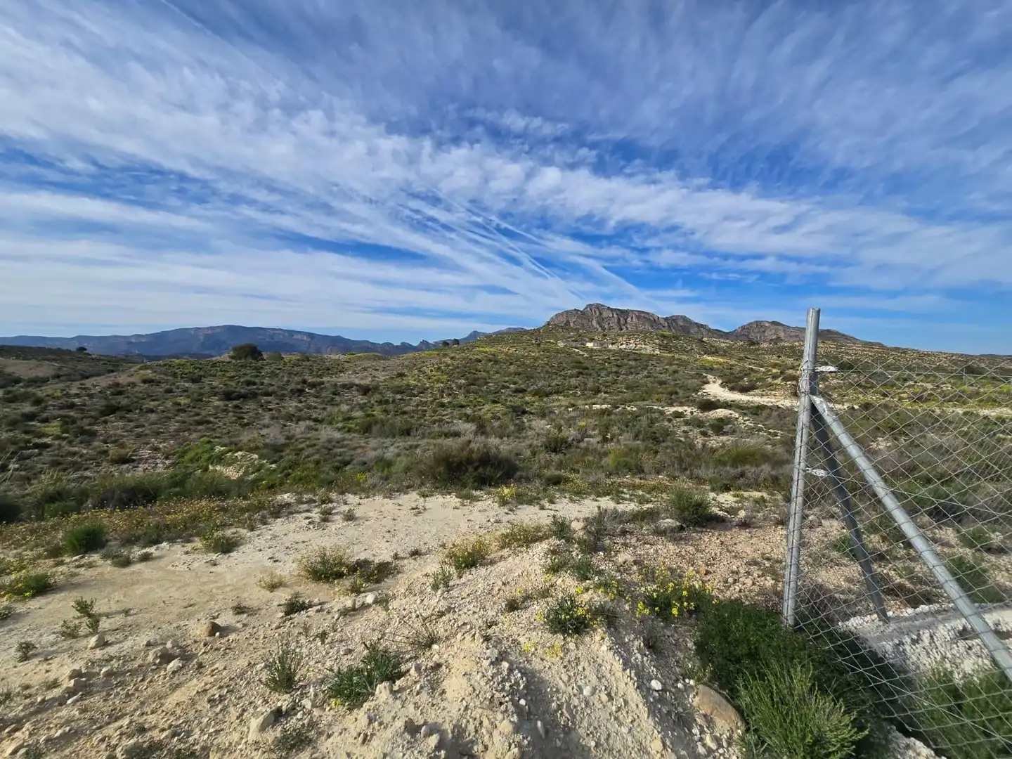 Terreno en venta en Molina de Segura