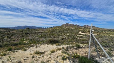 Photo 3 of Land for sale in Polígono Poligono 5, Parcela 469, Cañada de la Hur, 5, Centro, Molina de Segura