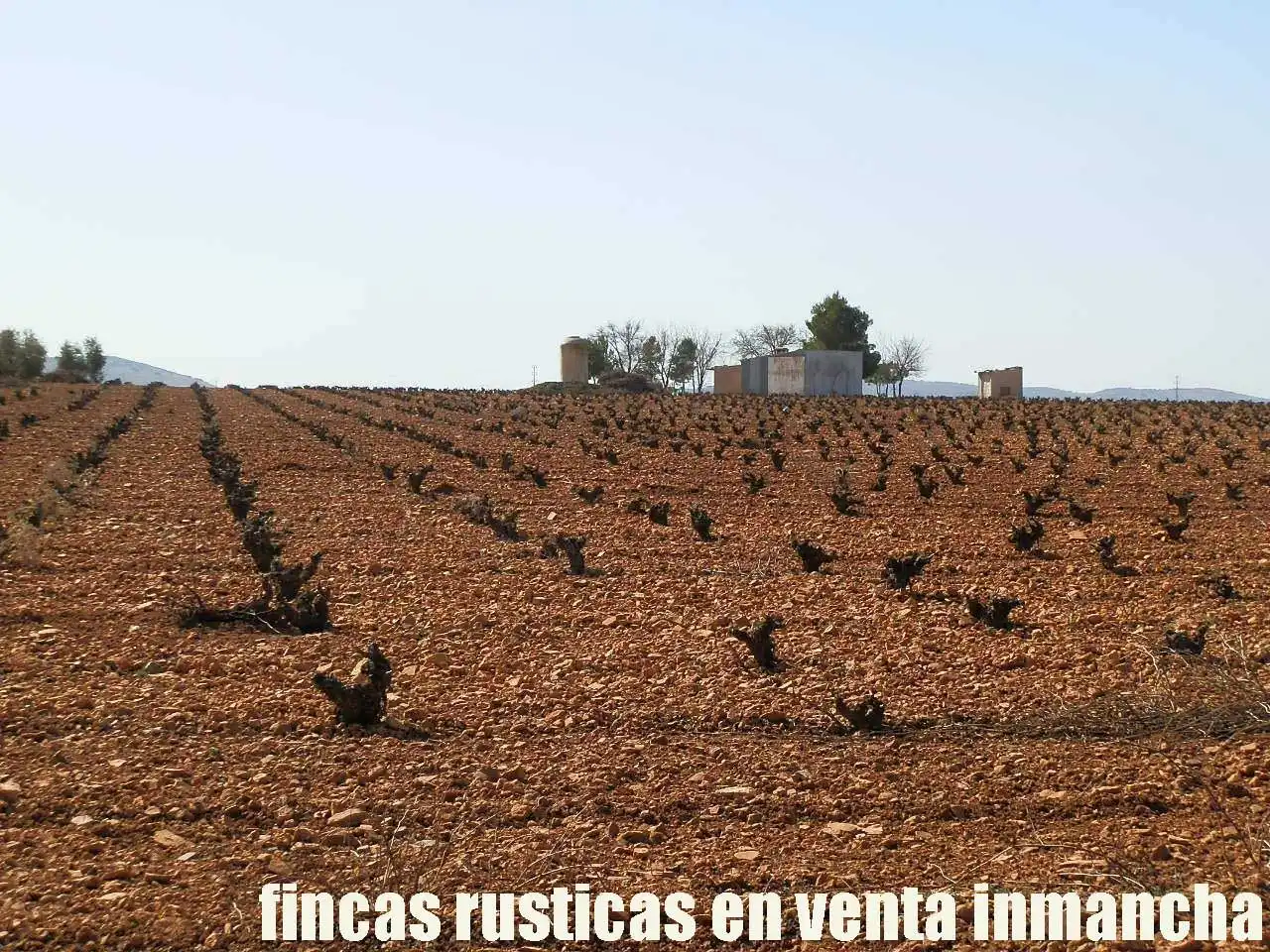 Rural land for sale in Valdepeñas, imagen 12