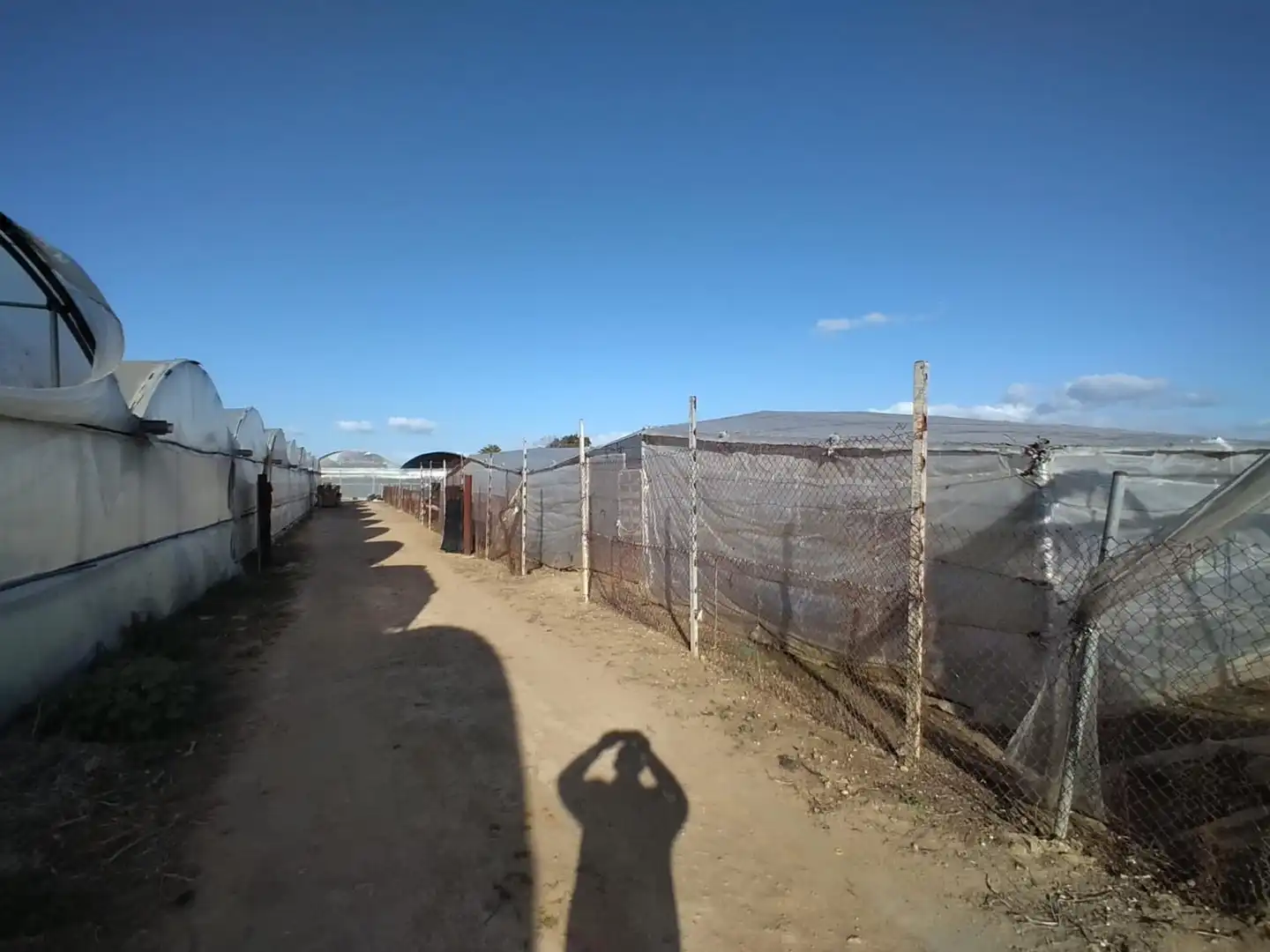 Lands and plots for sale in La Jara, imagen 8