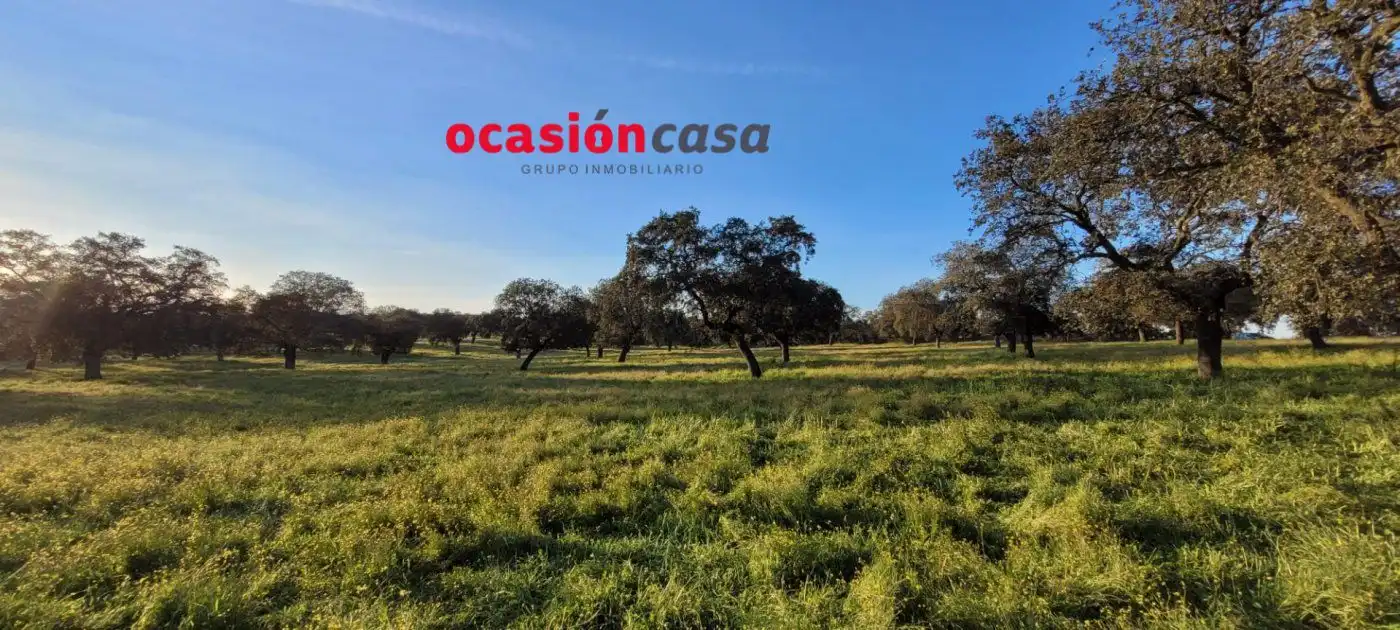 Casa rústica en venda a Pozoblanco, imagen 10