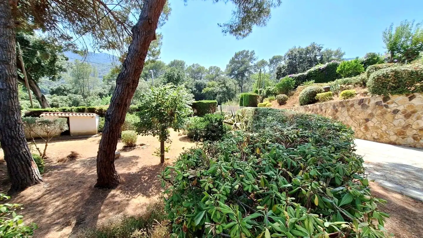 Jardín de Casa o chalet en venta en Argentona con Jardín privado y Terraza