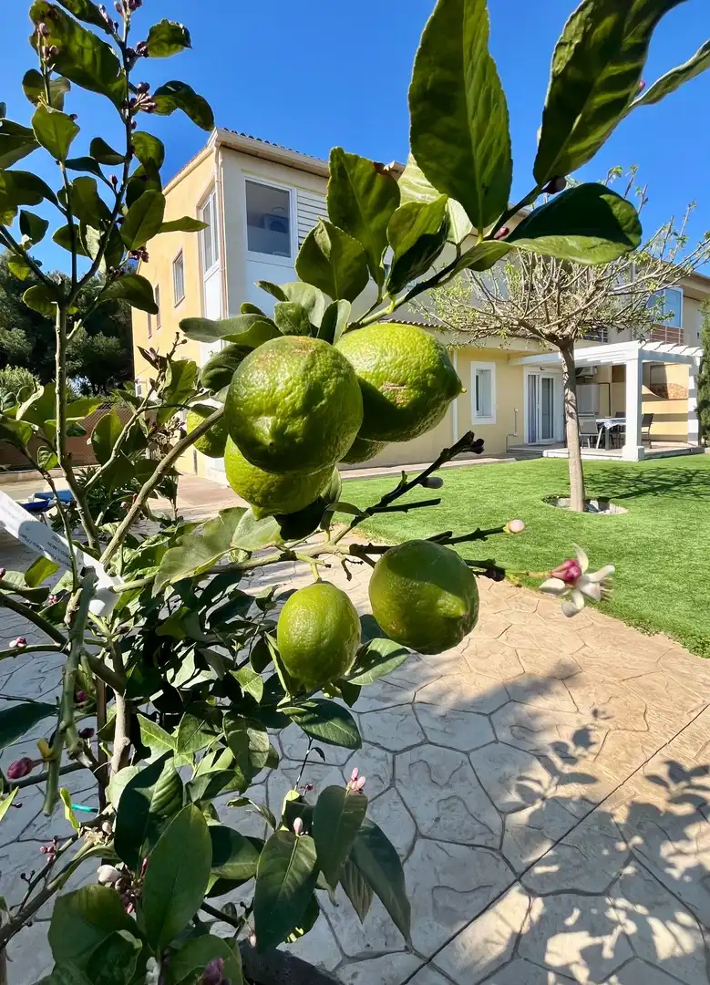 Garden of Apartments for rent in Sant Llorenç des Cardassar  with Air Conditioner, Heating and Private garden