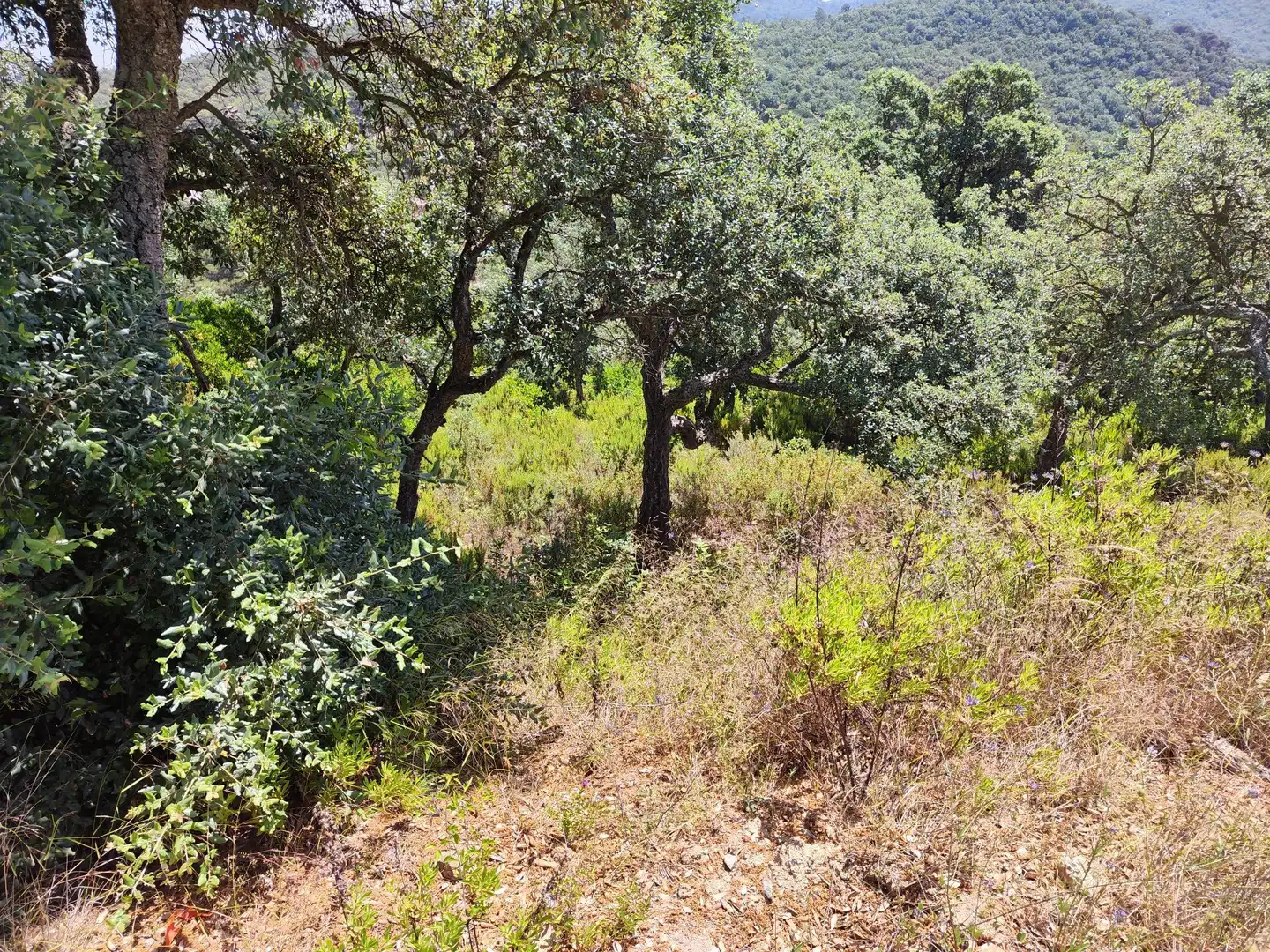 Residential land for sale in Llagostera, imagen 3