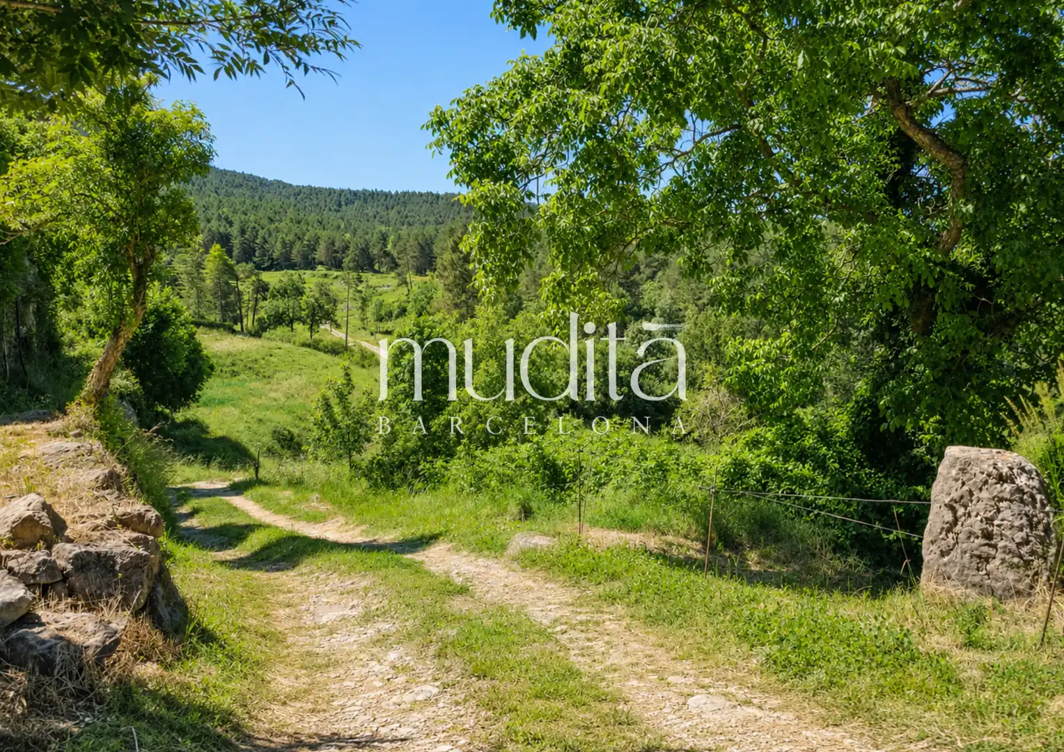 Finca rústica en venda en Guardiola de Berguedà amb Calefacció i Terrassa