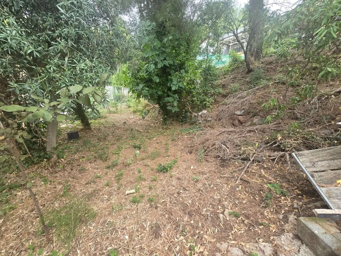 Wohnbaugrundstück zum Verkauf in Airesol, imagen 4