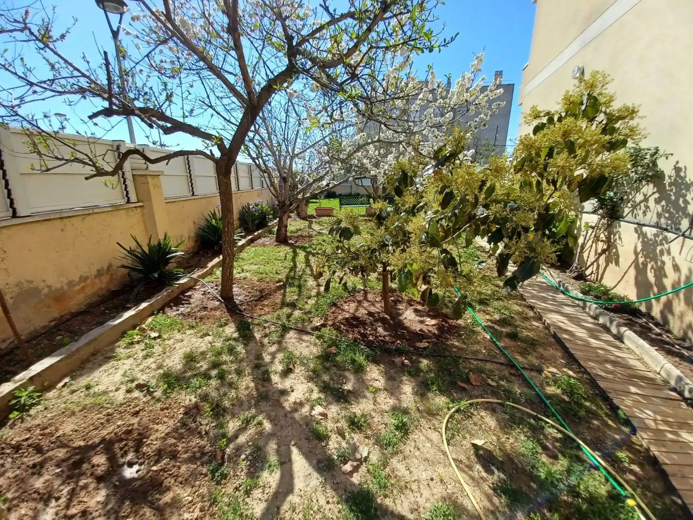 Ground floor for sale in Cunidor