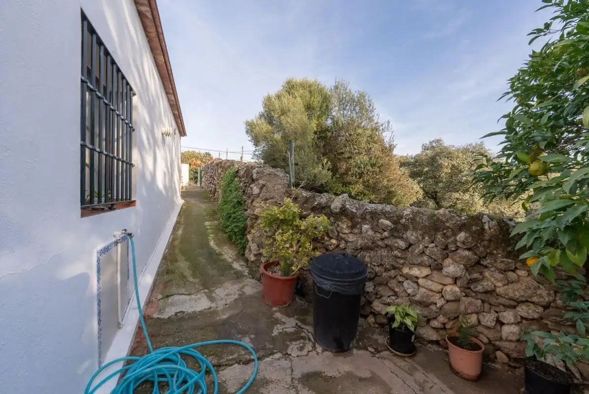 Casa amb terrassa en venda a C. Nueva, imagen 30