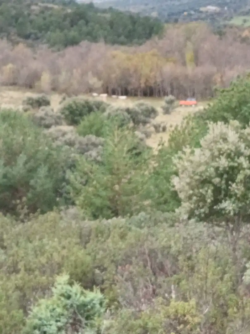 Terreno rustico in vendita a Collado Mediano, imagen 7
