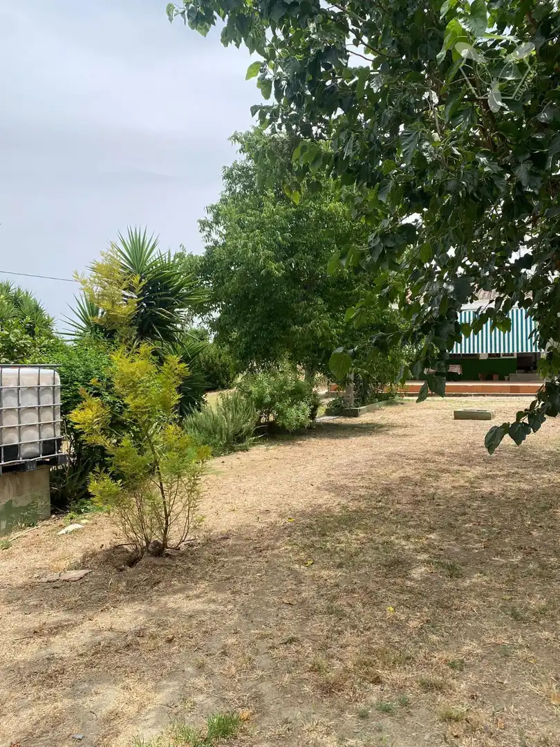 Casa o chalet en venta en Gibraleón