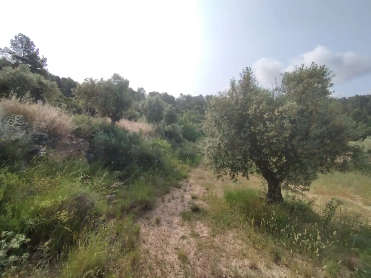 Casa o xalet en venda en Cervià de Les Garrigues amb Traster