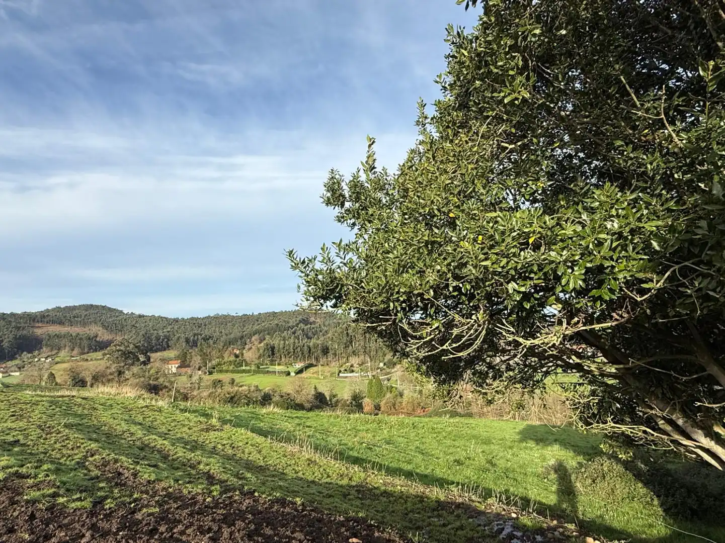 Lands and plots for sale in Pillarno - Aldea Pipe, imagen 2