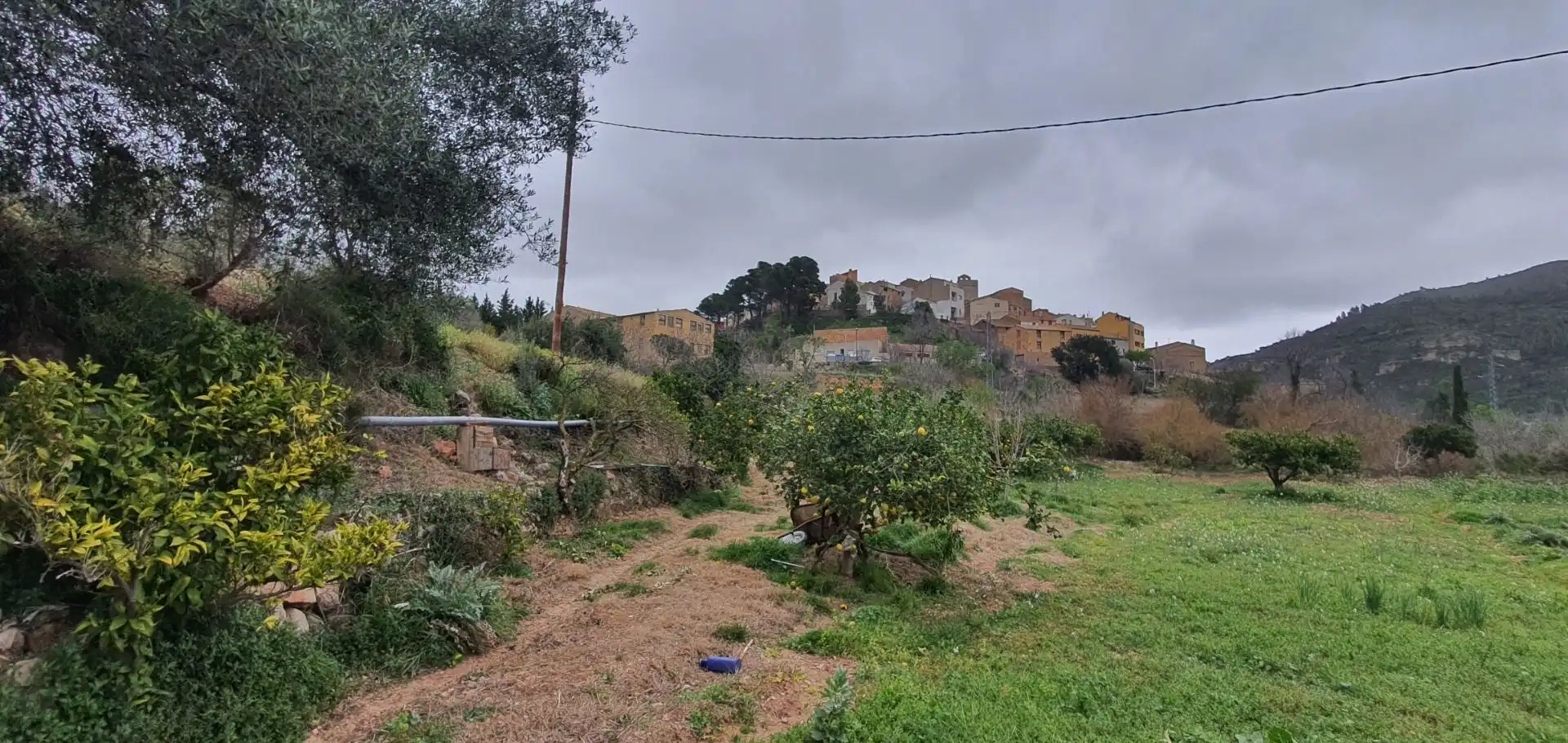Casa o xalet en venda en Alfara de Carles