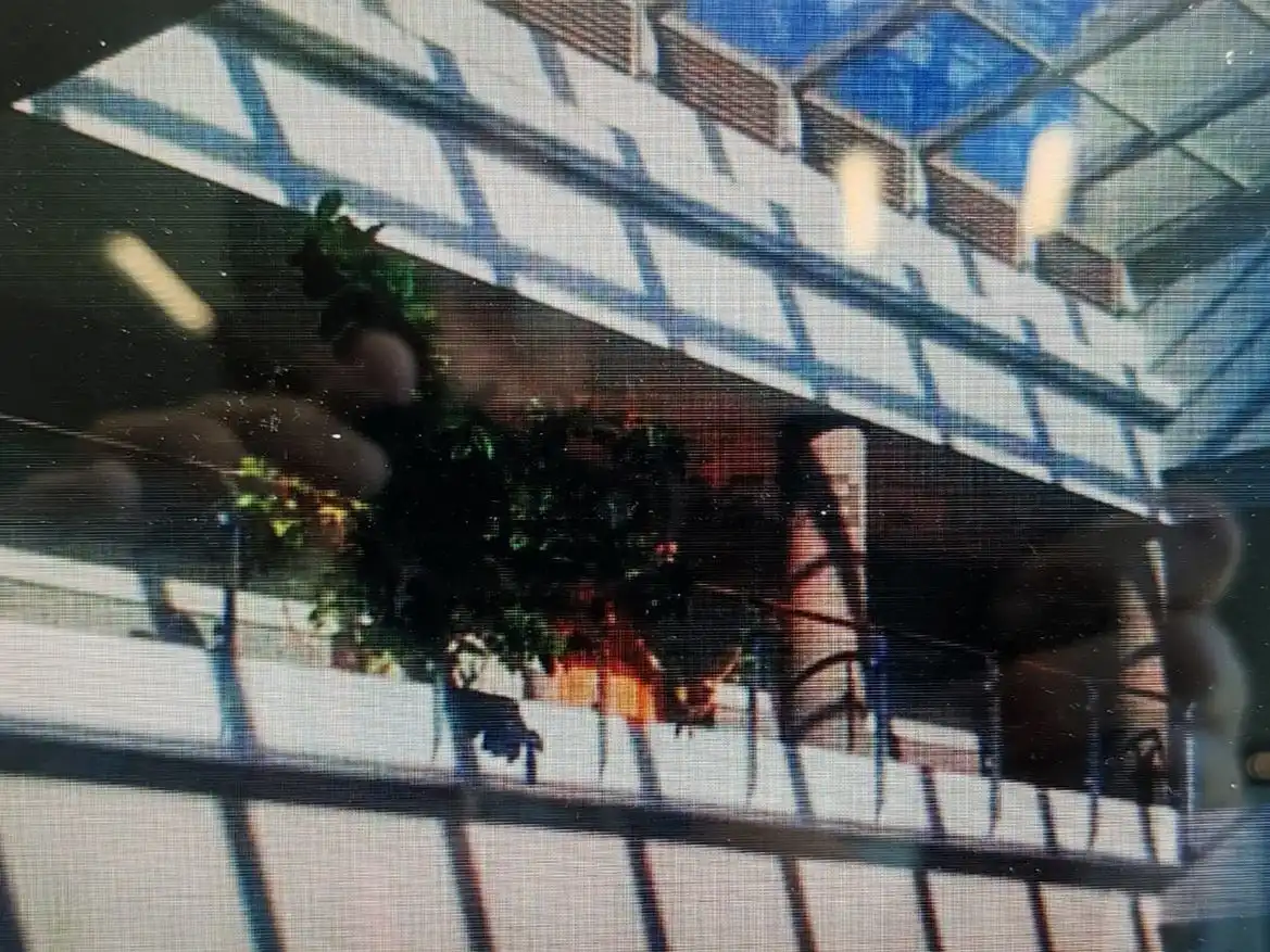 Terrasse von Büro zur Miete in Madrid mit Klimaanlage, Heizung und Terrasse