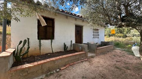 Foto 2 de Finca rústica en venta en Partida Berro, Altura, Castellón