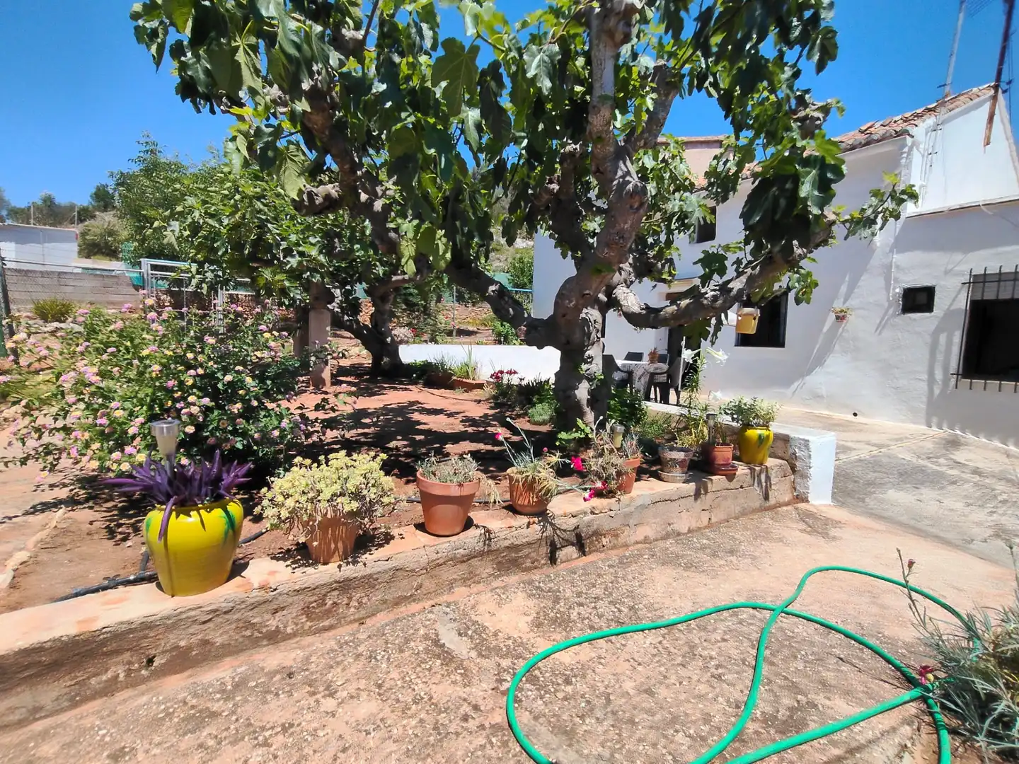 Jardí de Finca rústica en venda en Simat de la Valldigna amb Jardí privat, Traster i Piscina