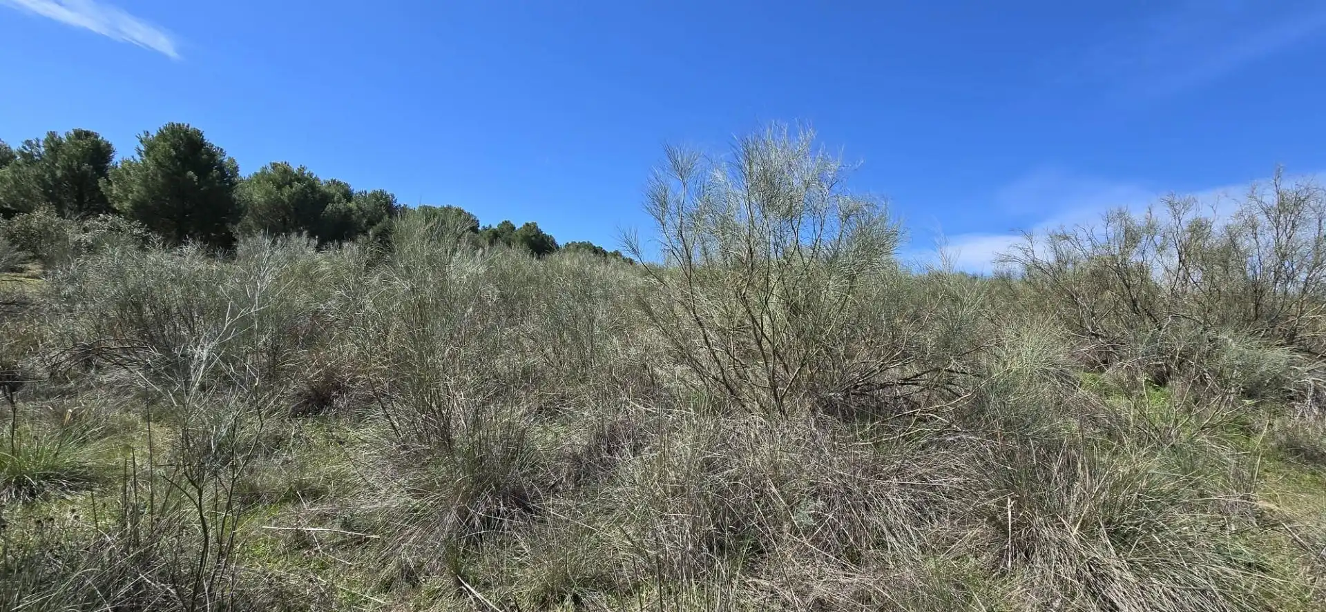 Grundstücke zum Verkauf in El Viso de San Juan