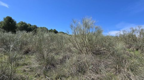 Foto 3 von Grundstücke zum Verkauf in Carretera Carranque, El Viso de San Juan, Toledo