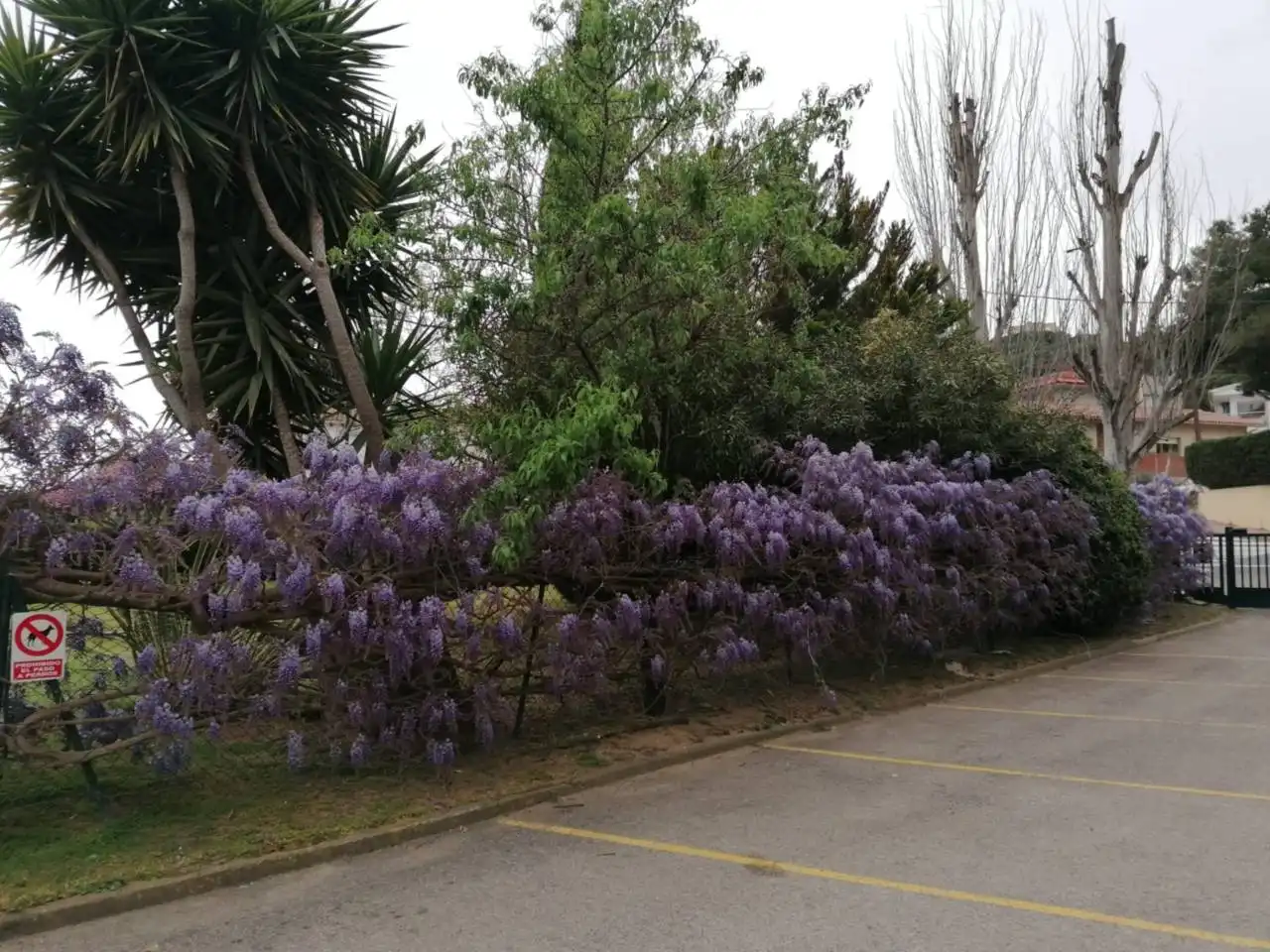 Jardí de Pis en venda en Castell d'Aro, Platja d'Aro i s'Agaró amb Terrassa