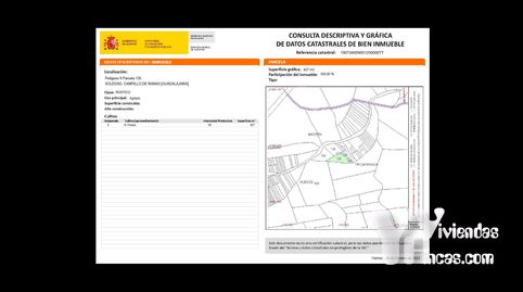 Campillo de Ranas (Guadalajara) lote de cinco fincas rústicas, buena oportunidad para invertir., imagen 4