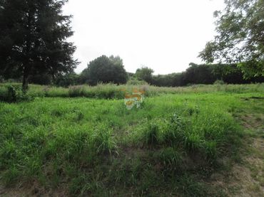 Terreno rústico en venta en A Malata - Catabois - Ciudad Jardín