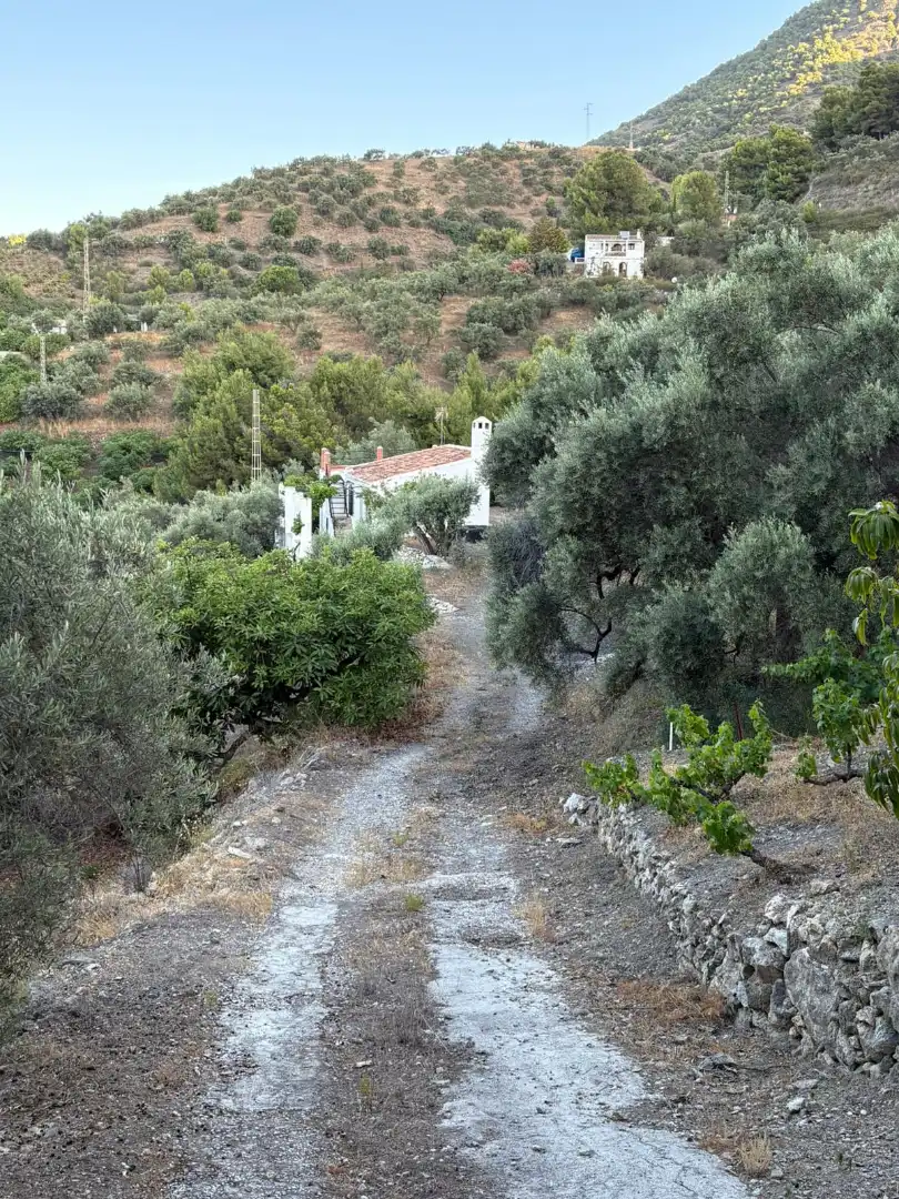 Vista exterior de Finca rústica en venda en Frigiliana amb Terrassa, Traster i Forn