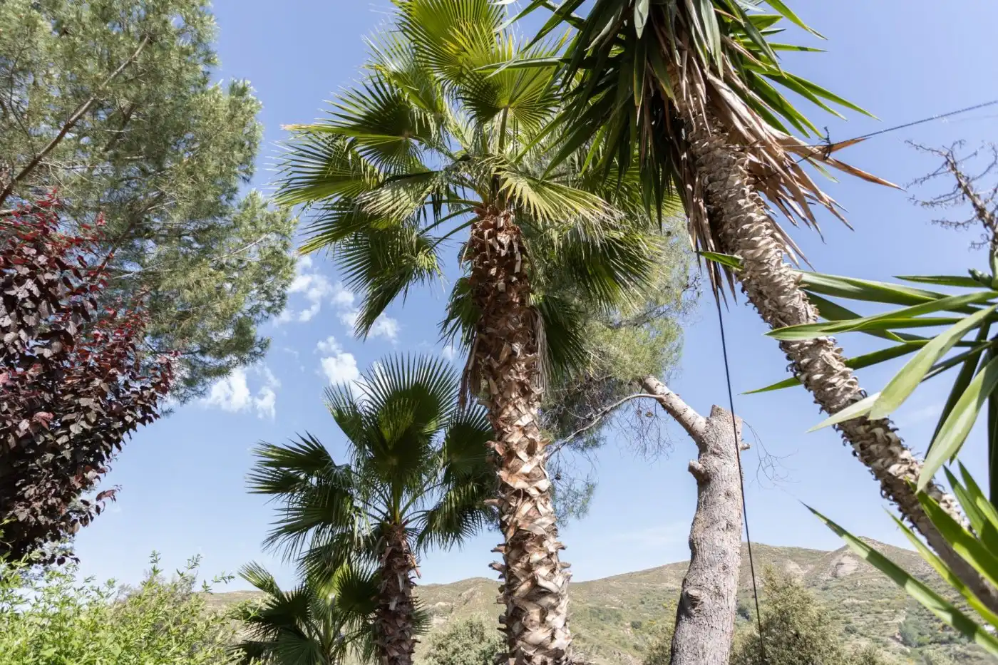 Jardín de Casa o chalet en venta en Dúdar con Aire acondicionado, Calefacción y Jardín privado