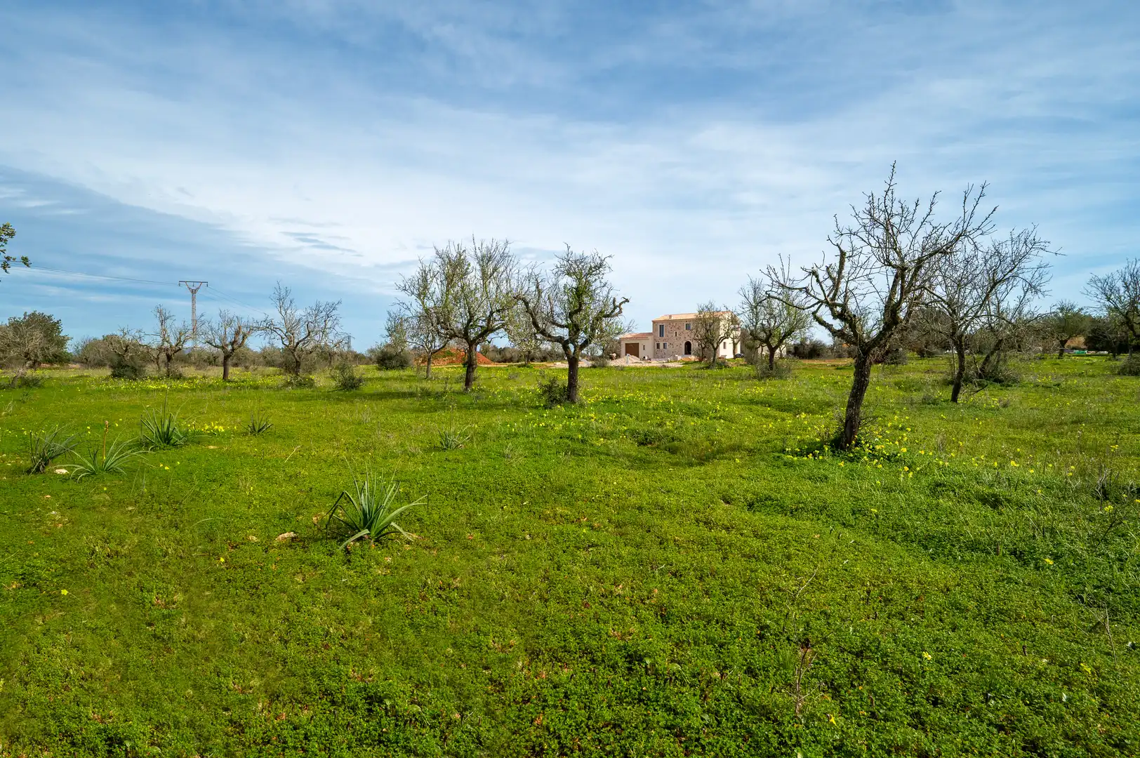 Casa rústica con terraza en venta en Ses Salines Poble, imagen 28