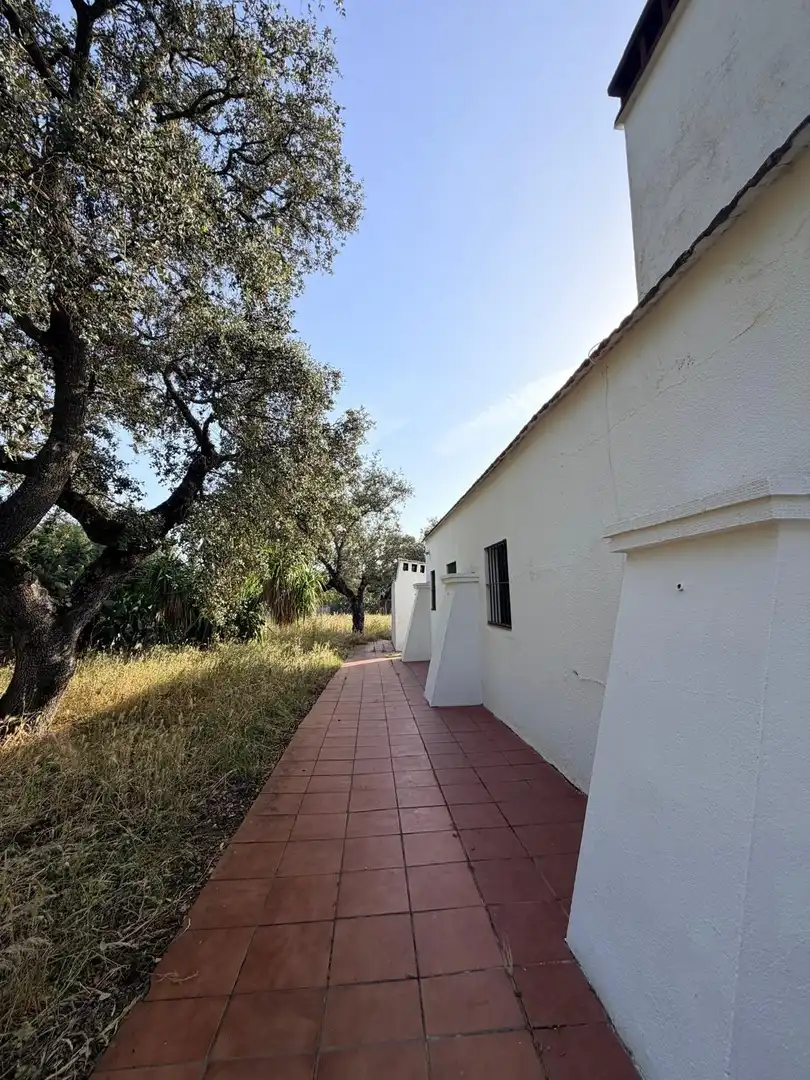 Vista exterior de Casa o chalet en venta en Badajoz con Jardín privado, Terraza y Piscina