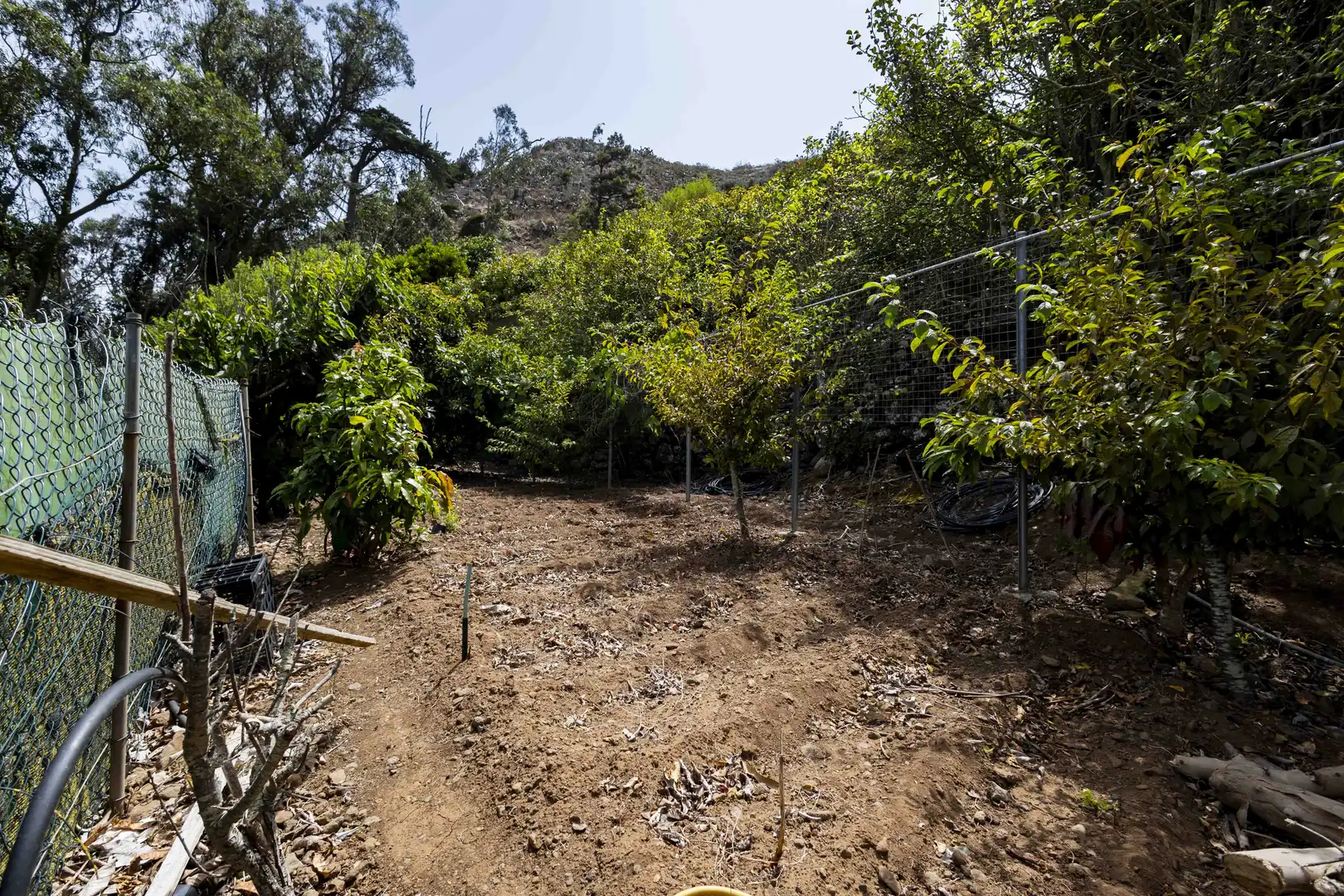 Rural land for sale in Tegueste, imagen 20