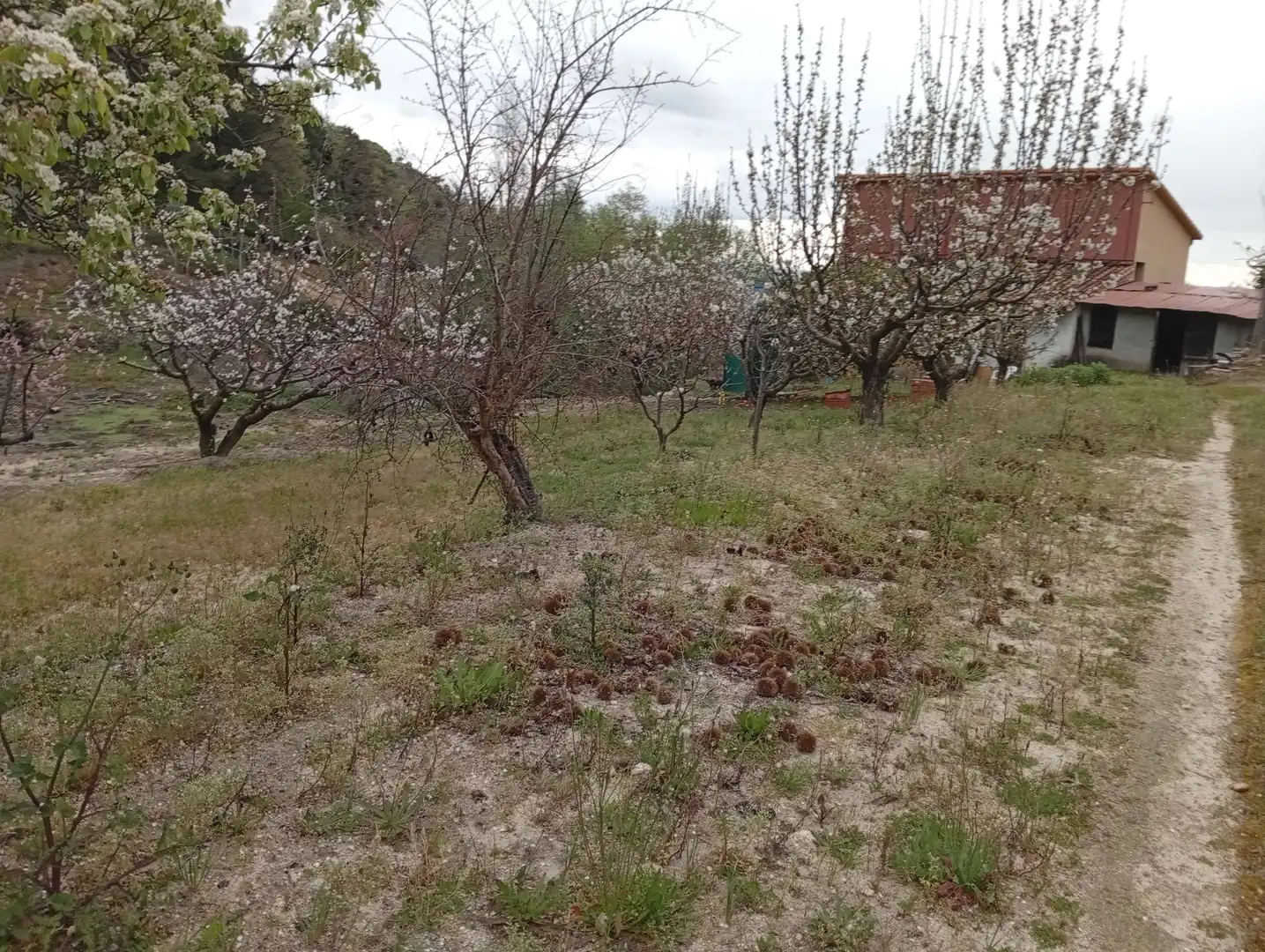 Terreni e lotti in vendita a Villanueva de la Vera, imagen 42