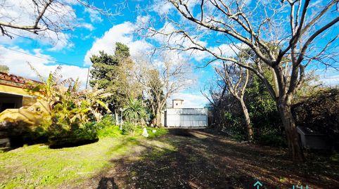Casa en gran parcela de 6.500 m2 rodeada de tierras rústicas en Gava. Oportunidad., imatge 4