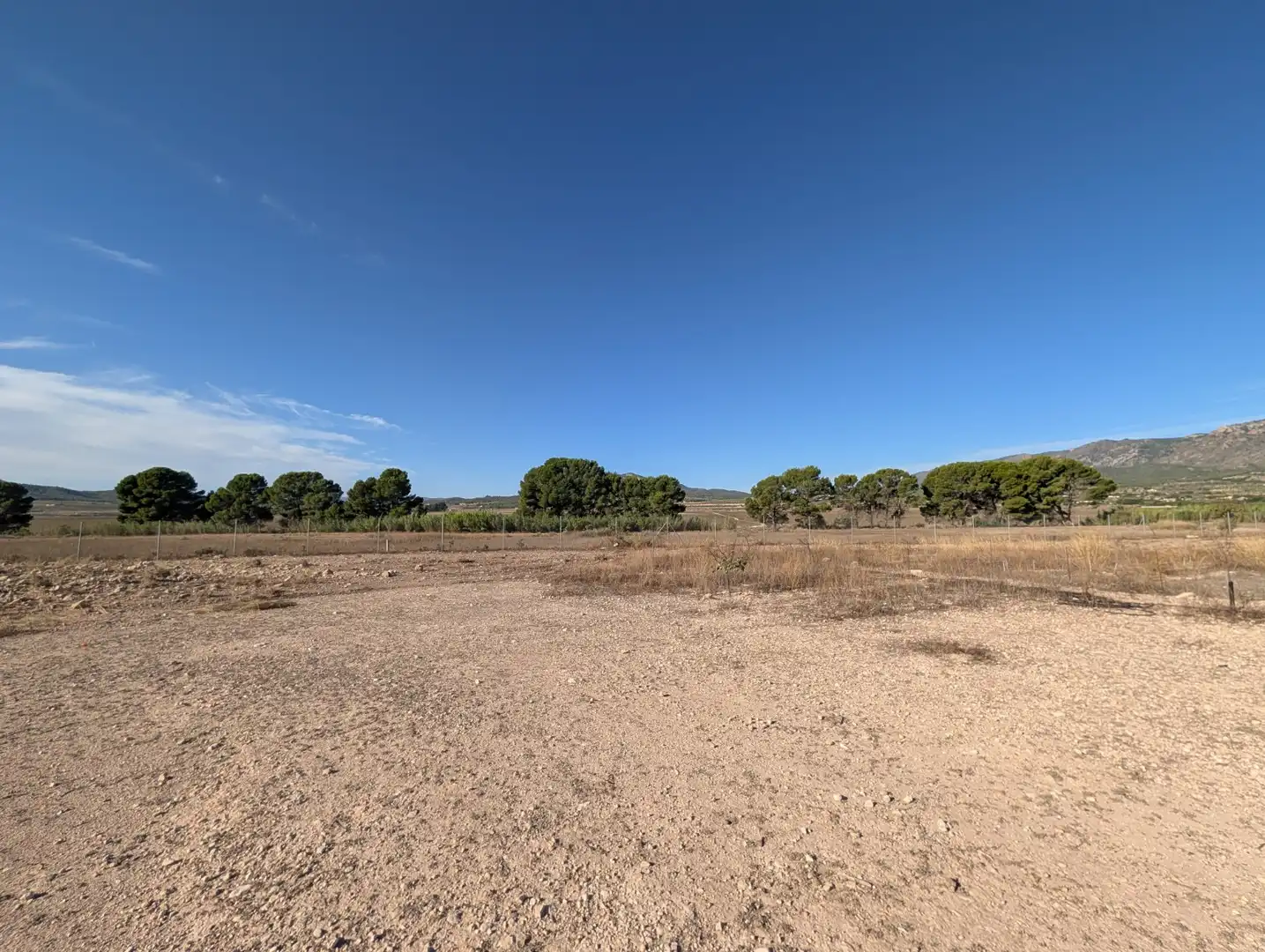 Country house with garden for sale in Salinas, imagen 2