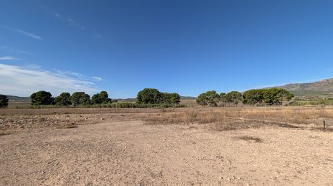 Foto 2 de Finca rústica en venta en Salinas, Alicante