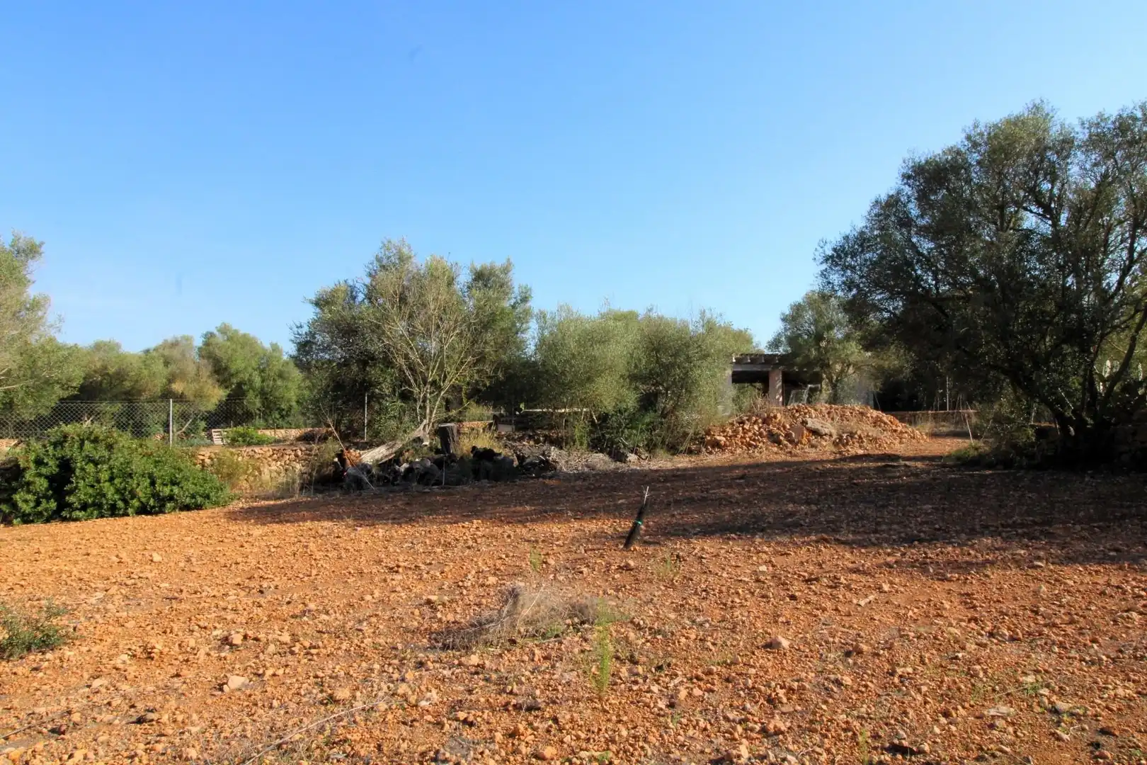 Terreny rústic en venda a Llucmajor pueblo, imagen 16