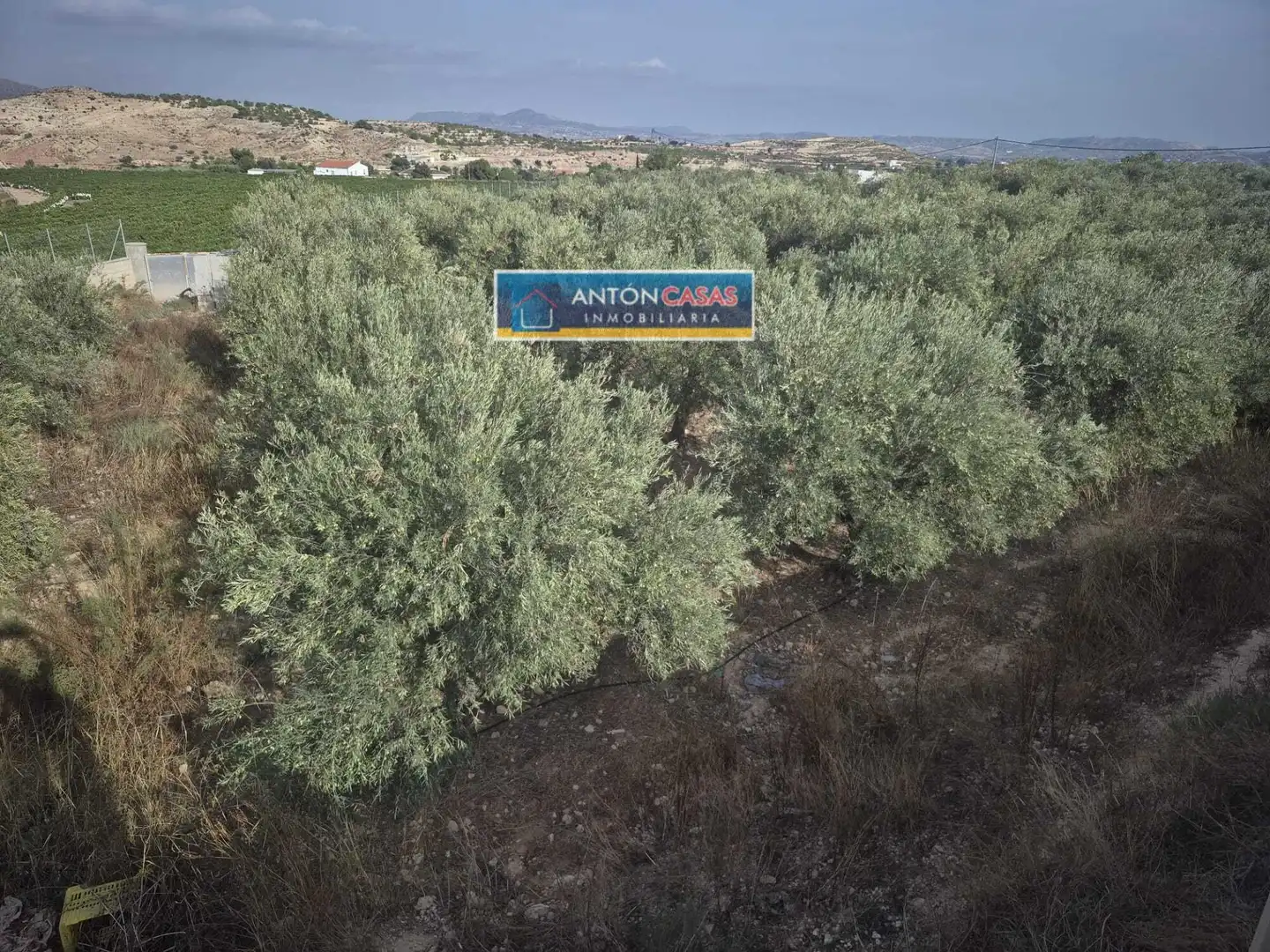 Finca rústica en venta en Novelda, Alicante