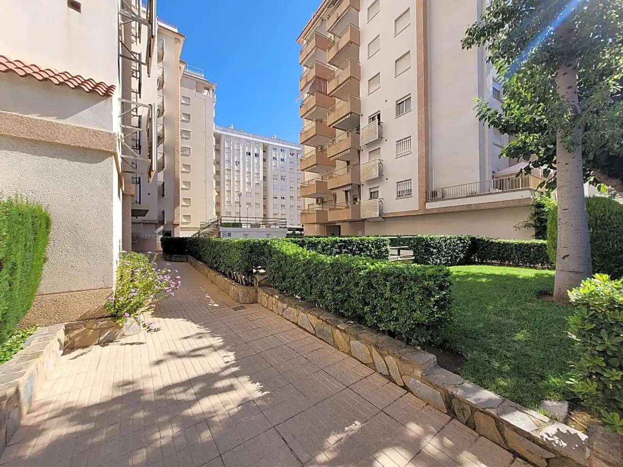 Apartments for rent in Rosa De Los Vientos, 20, Playa de Gandia