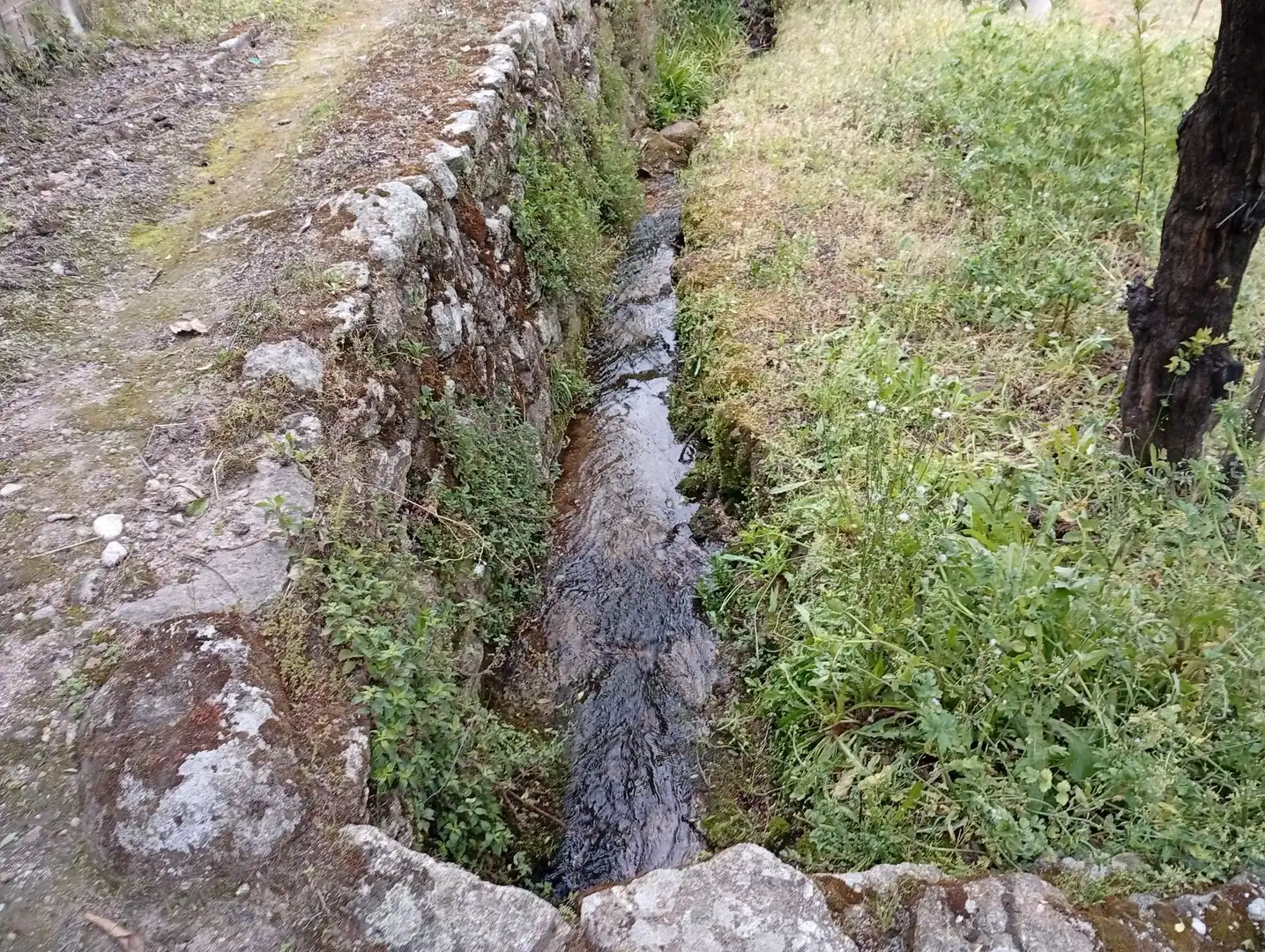 Terreni e lotti in vendita a Villanueva de la Vera, imagen 30