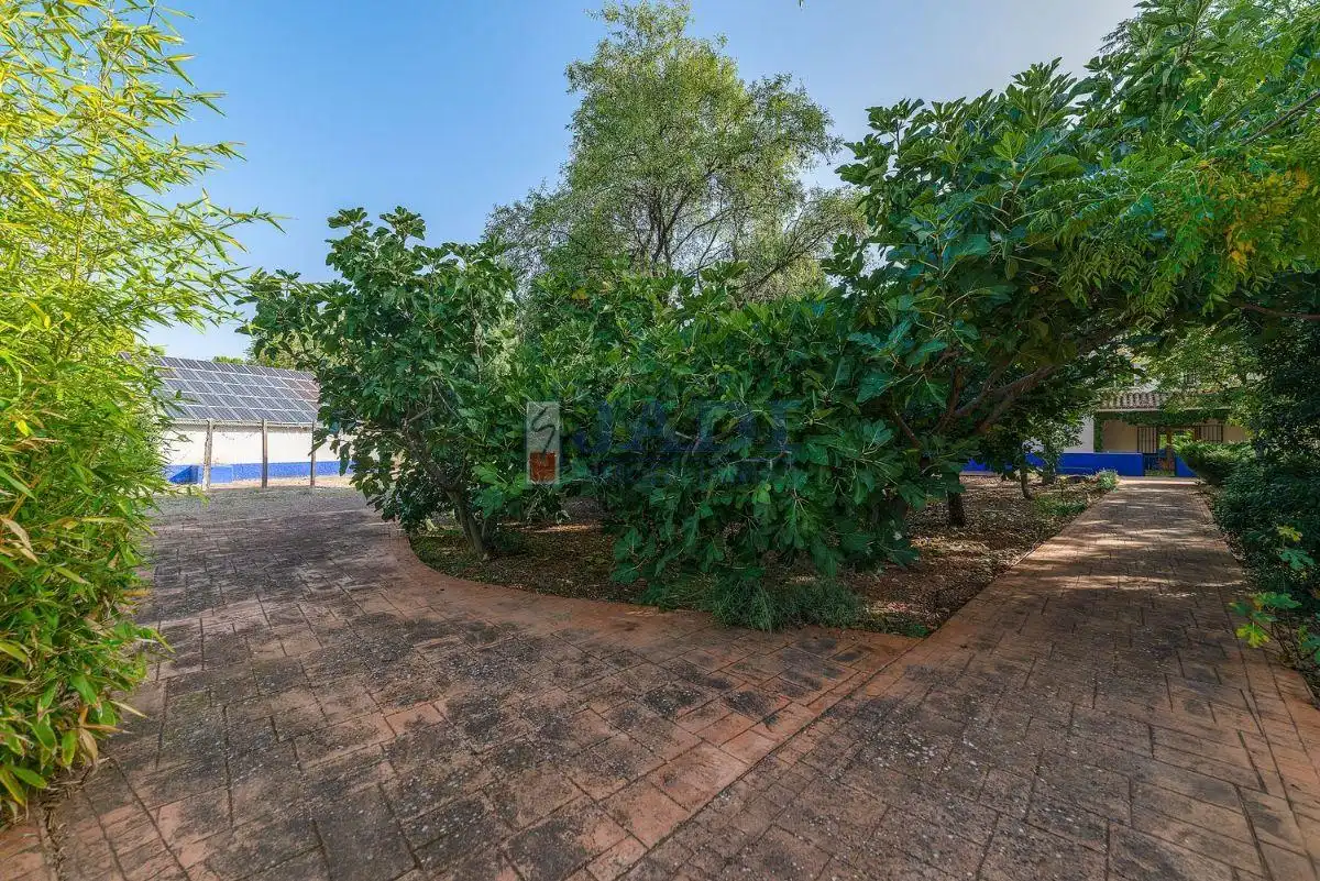 Jardín de Finca rústica en venta en Torrenueva con Calefacción, Terraza y Trastero