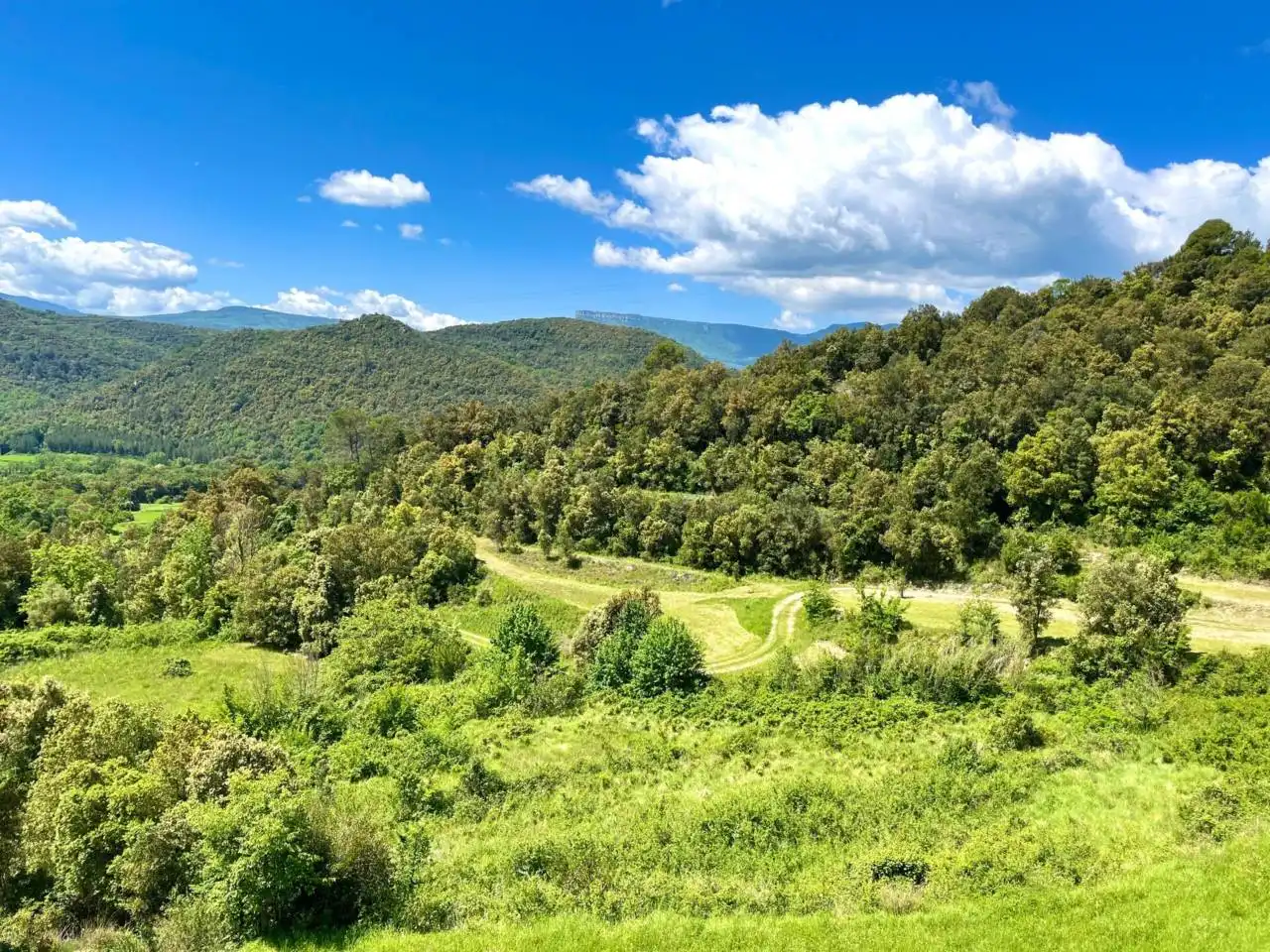 Vista exterior de Finca rústica en venta en Sant Aniol de Finestres con Calefacción, Jardín privado y Terraza