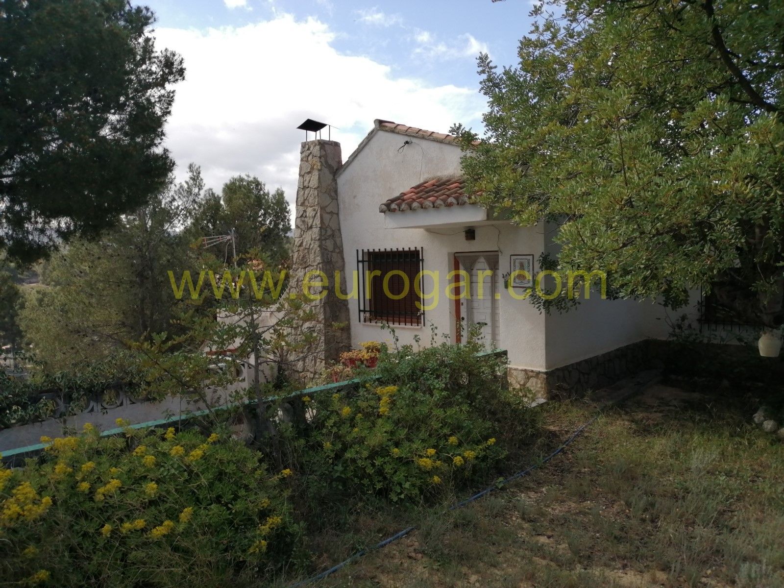 Jardí de Casa o xalet en venda en Alborache amb Terrassa, Traster i Piscina