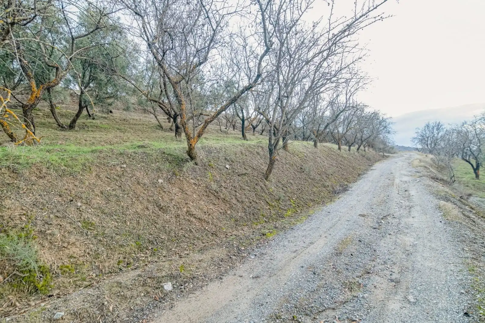 Mini appartamento in vendita a Pinos Genil, imagen 21
