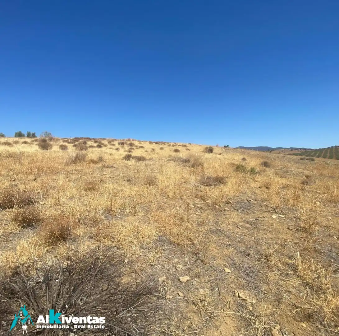 Terrains et parcelles à vendre à Carretera Antequera, imagen 8