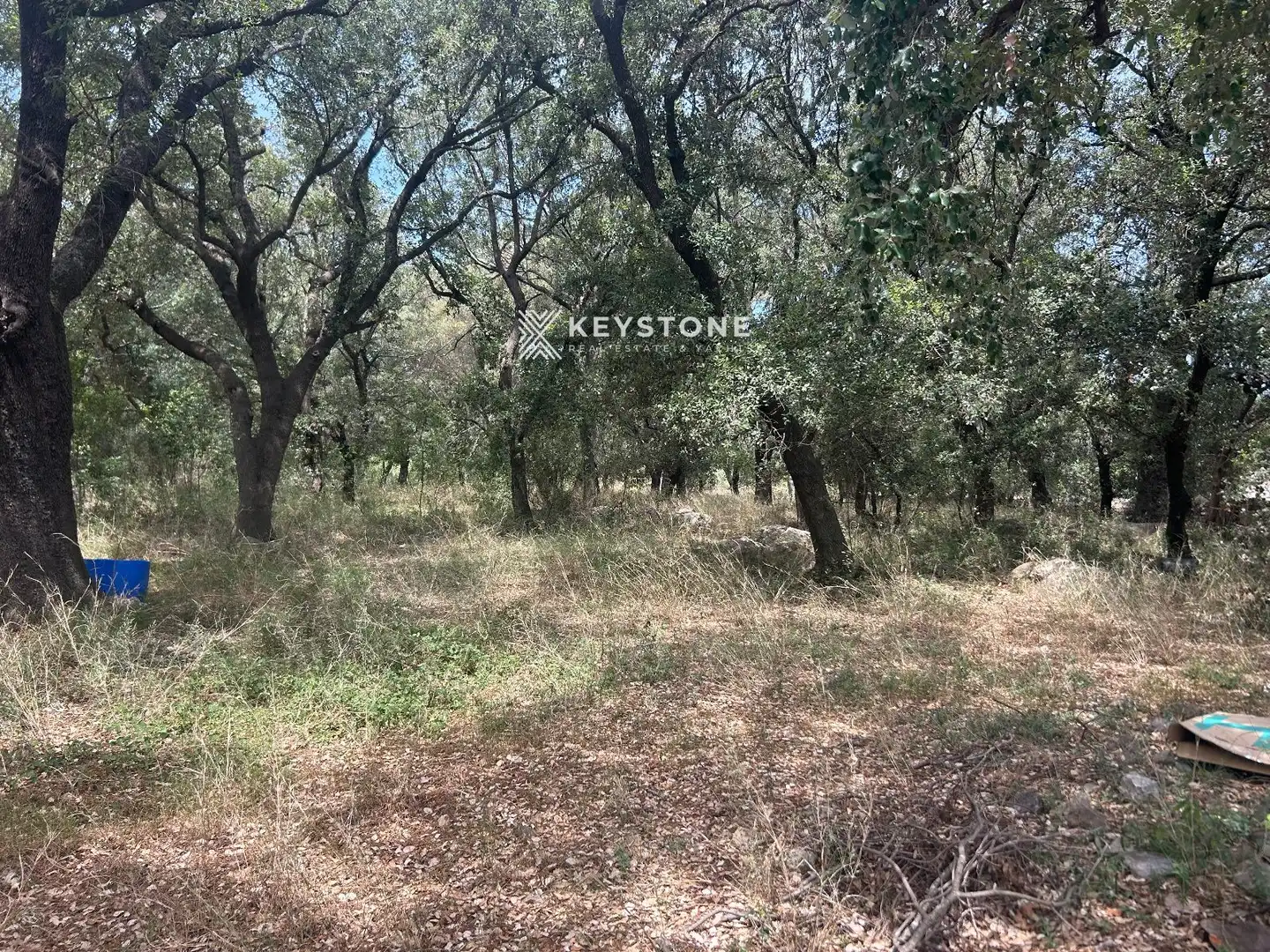 Residencial en venta en Búger