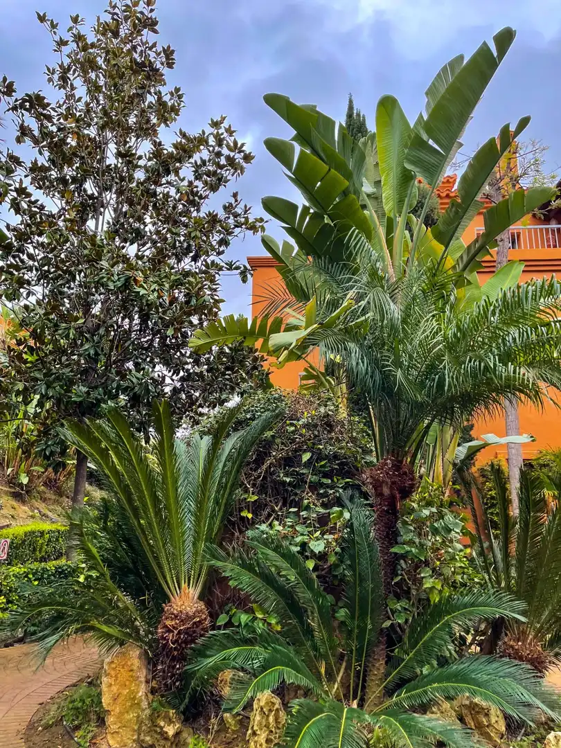 Wohnung mit Terrasse zum Verkauf in Benamara - Atalaya, imagen 16