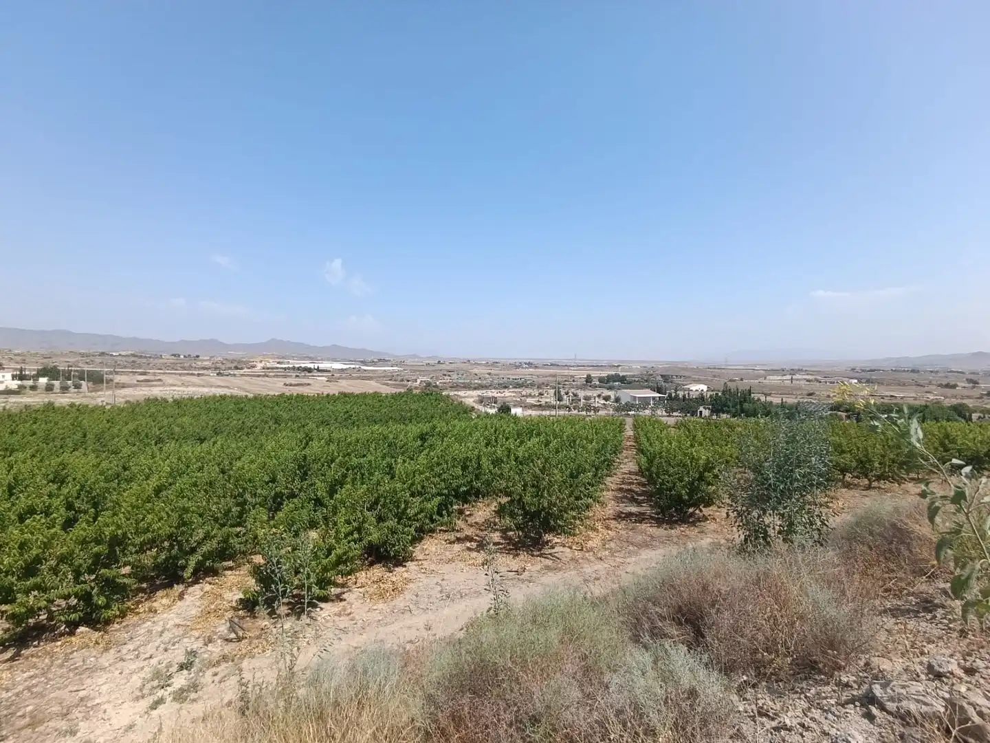 Land for sale in Mazarrón