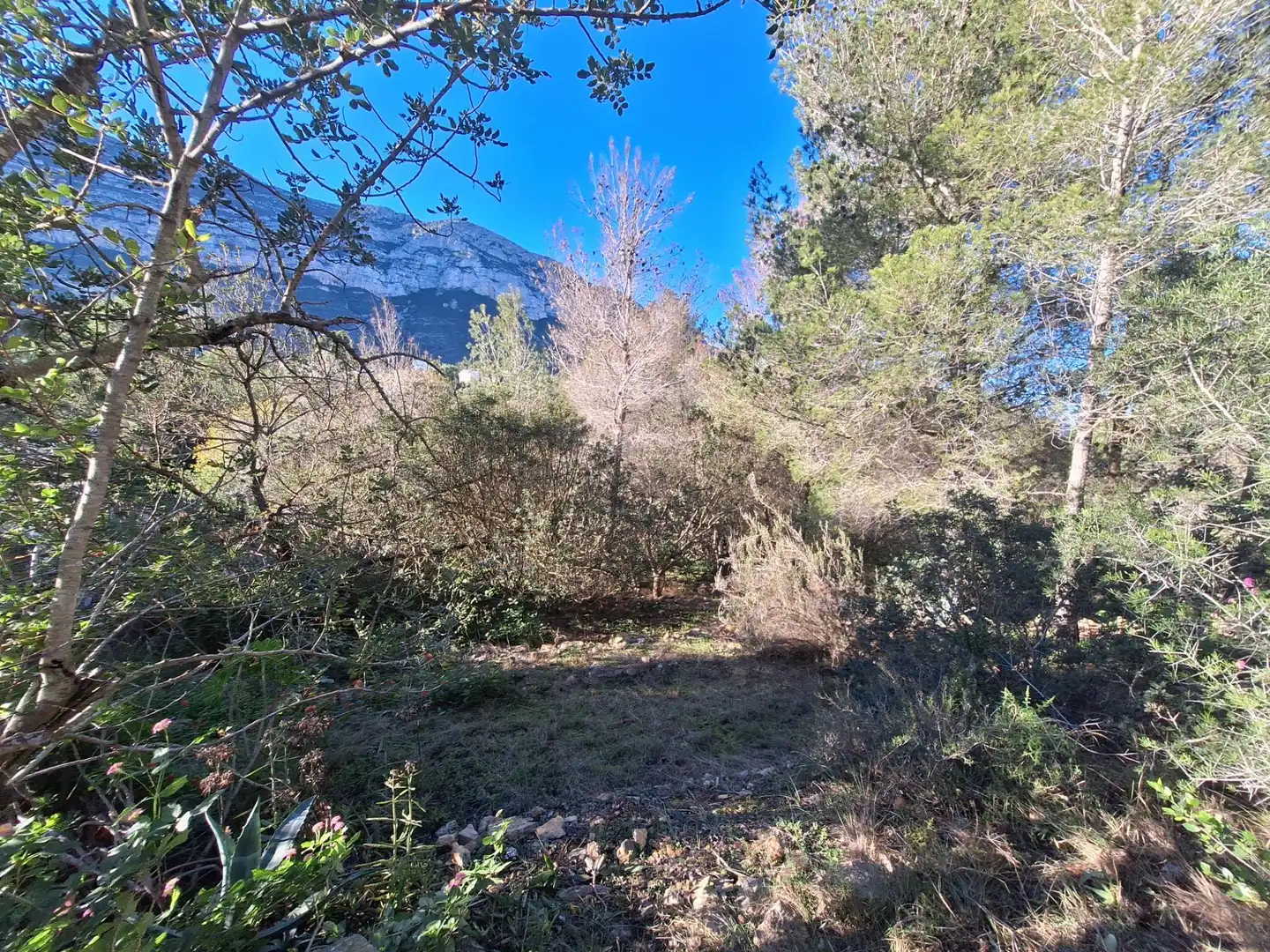 Terreny residencial en venda a El Montgó, imagen 16