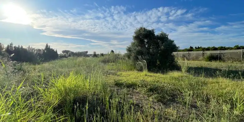 Terreny rústic en venda a Camino Segador de Samuel