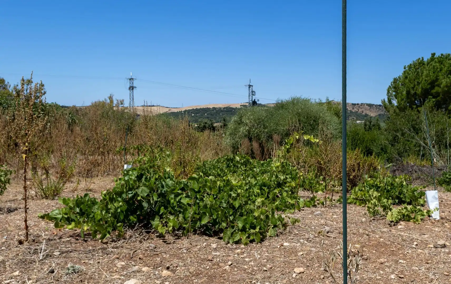 Terrenys i solars en venda a Santiago - Coronación, imagen 53
